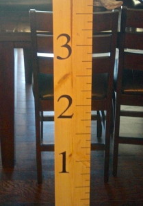 DIY Kids Measuring Stick